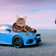 Illustration for article titled Comment Of The Day: The Cat Always Comes Back Edition